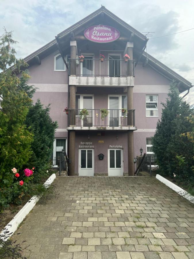 Pensiune Osanu Sybin Zewnętrze zdjęcie
